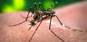 27d076c3b731b46e9ab3e4a1d5b78529