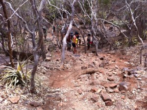 caatinga