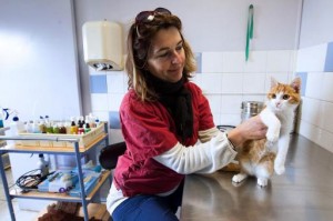 20140203215059310682i