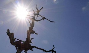 f73780d8d35ca9810226571cc090b339